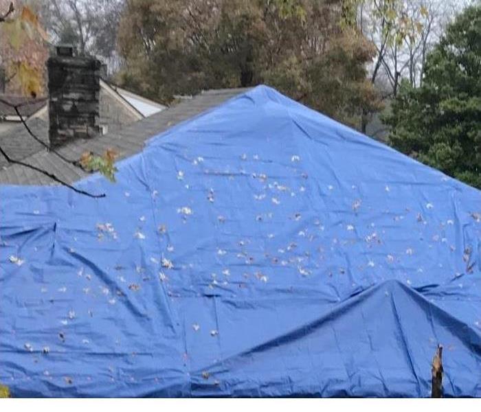 A roof that has a blue tarp on it after storm debris was removed